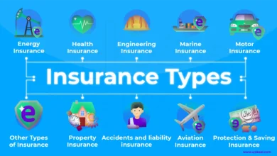 What Are the 7 Main Types of Insurance