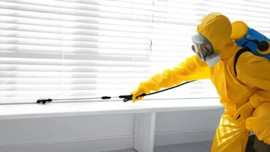 How Much Does It Cost to Start a Pest Control Business