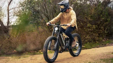 Fat Tyre Electric Bikes for Adventure Lovers