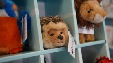 A plush toy displayed on a shelf; illustrative image for a guide to Jellycat toys in Australia.