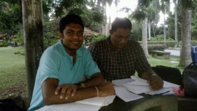 University students studying together